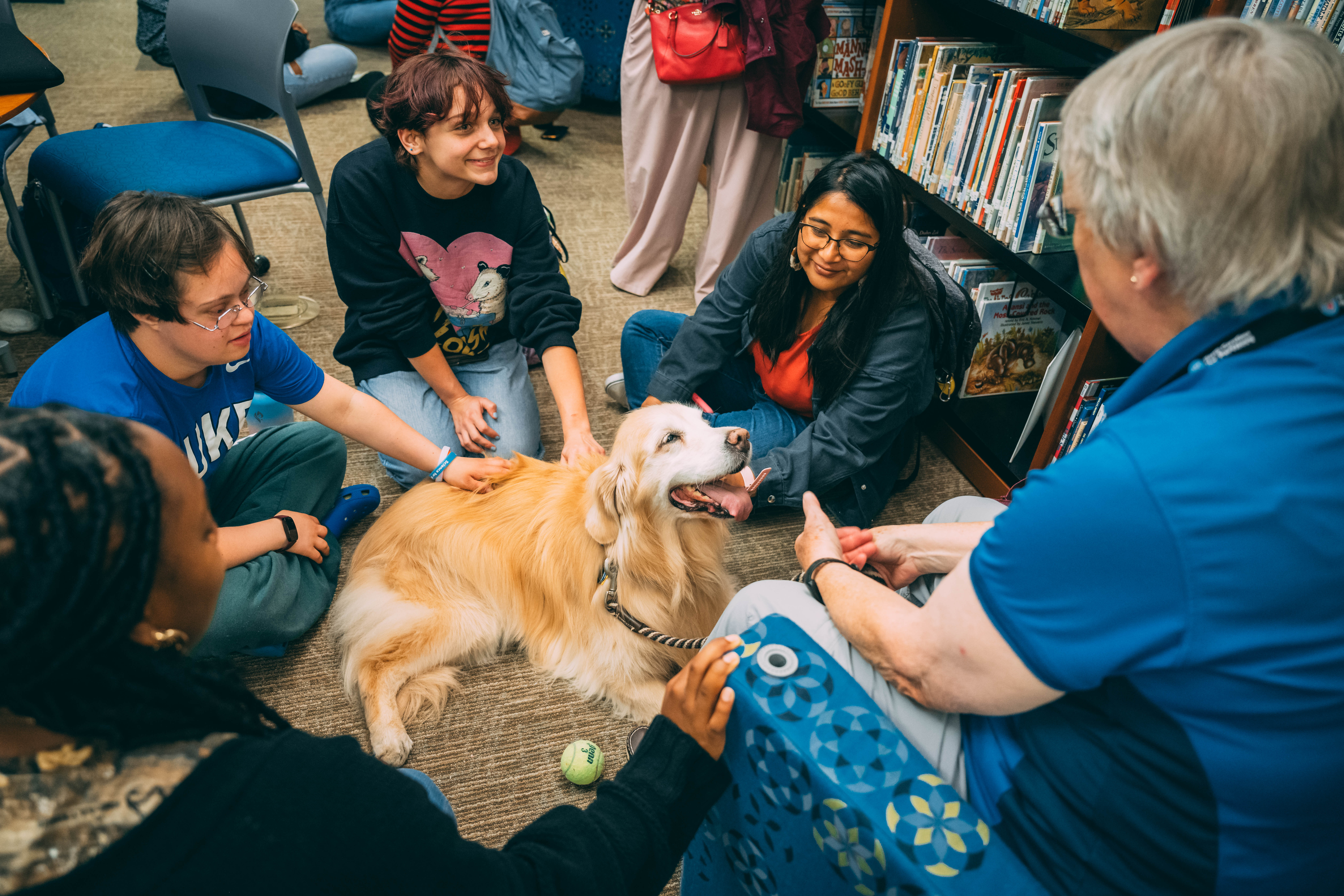 Students destress by taking time to play with therapy dogs in the School of Education's Teaching Resources Center