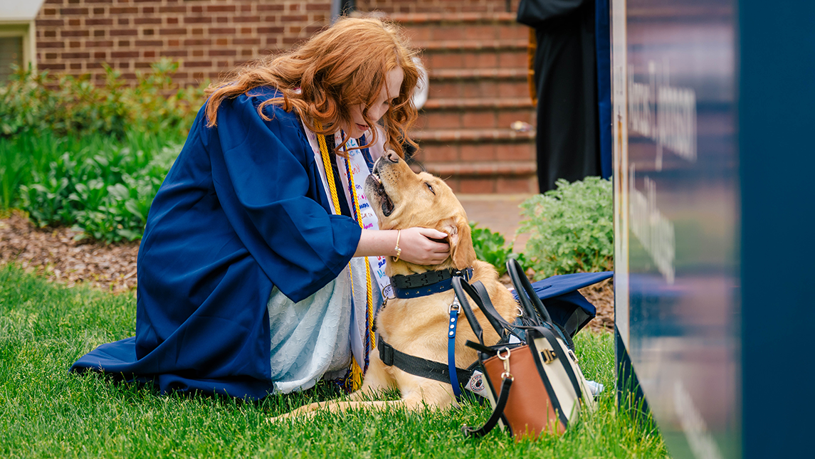 AnnaGrace Berry in a blue graduation gown kneels on the grass, gently holding and leaning toward a golden retriever wearing a service-style harness. Her decorated stole and cords are visible, and a handbag and cap rest nearby, with brick steps and greenery in the background
