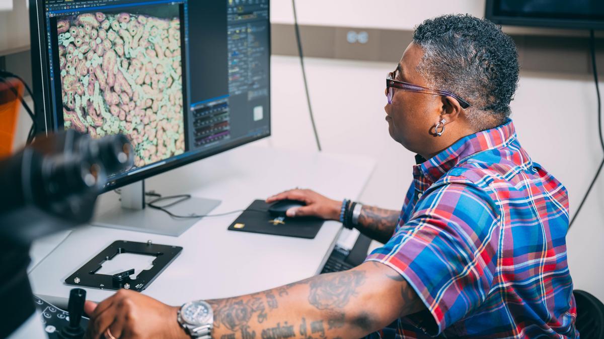 Student using data analysis and visualization software to interpret complex datasets in an information science lab